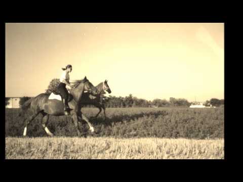 download lagu mp3 mp4 Bertostudio, download lagu Bertostudio gratis, unduh video klip Bertostudio