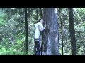 Софья Шесталова исполняет песню лесной феи Миснэ 