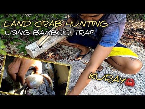 CATCHING LAND CRAB |PAANO MANGHULI NG KURAY |BUHAY PROBINSYA SA ISLA