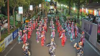 【4K】踊り陣 叶和　ー2026 高知よさこい全国大会【追手筋北側】ー
