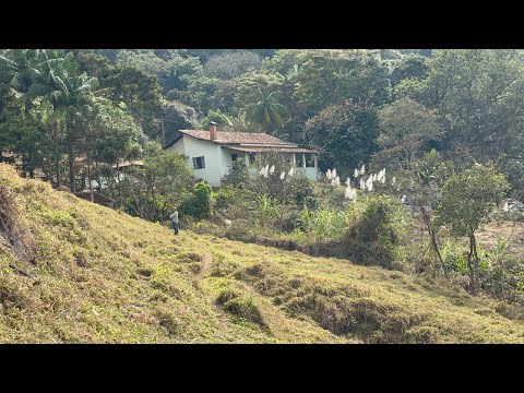 Chácara de 39.000 m2 à Venda em Espírito Santo do Dourado - Minas Gerais.