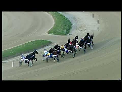 Napoli Trotto 29/10/2021 - 7ª corsa