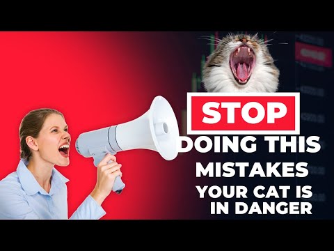 If You're Making This Big Mistake With Your Cat, They're In Danger