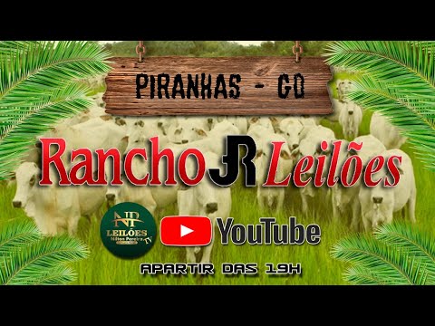 RANCHO JR LEILÕES - PIRANHAS GOIAS 20/03/2024