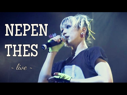 コドモドラゴン - NEPENTHES live [Sub. Esp/Eng]