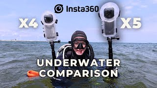 We Tested the Insta360 X5 vs X4 underwater and WOW!