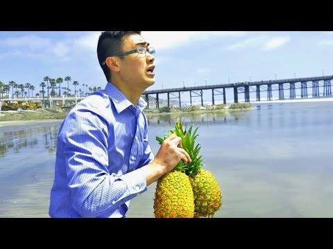 THROWING PINEAPPLES IN THE OCEAN TO DO WHAT?! | Harold