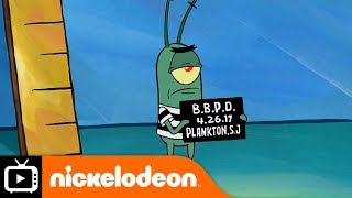 SpongeBob SquarePants | Mug Shot | Nickelodeon UK