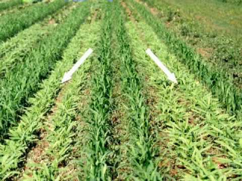 How to Use a Disc Harrow Model 300