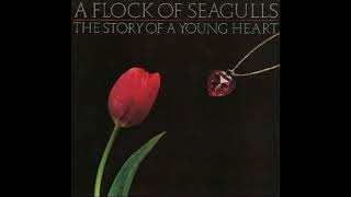 A Flock of Seagulls - The Story of a Young Heart