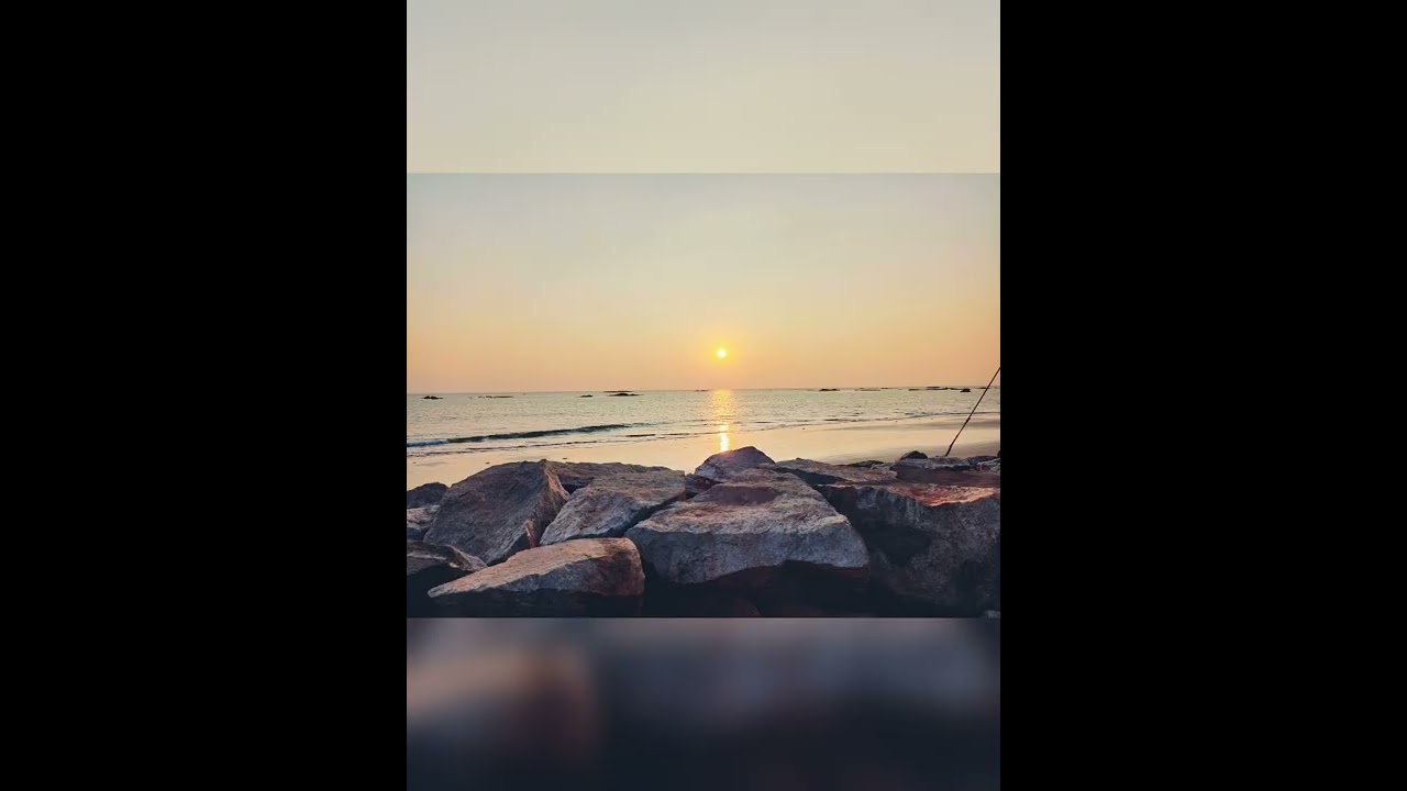 #sunny #sunnyview . Something sunny from my gallery..