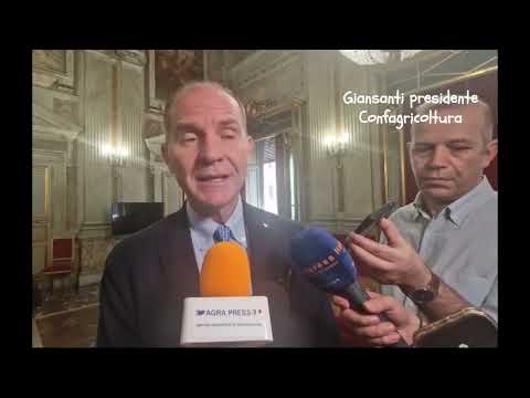 Tavolo Riso: intervista Agra Press a Massimiliano Giansanti, presidente Confagricoltura