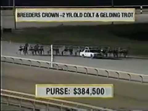 1994 Breeders Crown 2yo C&G Trot Eager Seelster