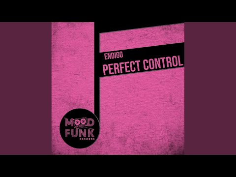 Perfect Control (Original Mix)