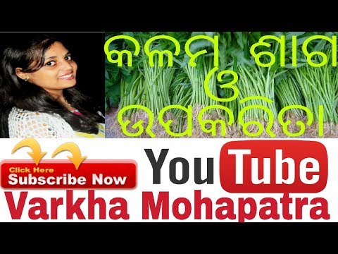 କଳମ ଶାଗ ଓ ଉପକାରିତା,Benefits of spinach in odia,herbal information -1,varkha mohapatra Video