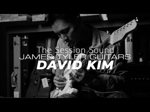 James Tyler "Studio Elite"  - With Series/Split/Parallel, Lead/Rhythmn Circuit, Add Neck, and Mid Boost! image 12