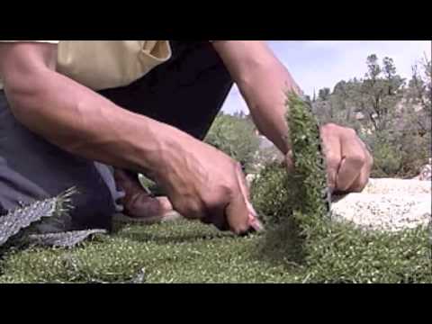 SYNLawn Installation Guide - Step 3 of 3 - Trim & Secure