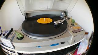 Donovan - The Land Of Doesn&#39;t Have To Be (vinilo)