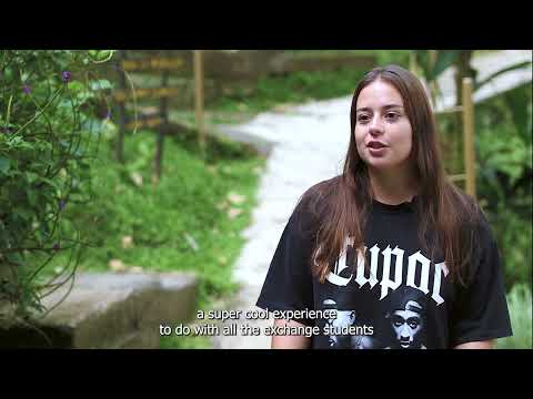 Study Abroad: Why you should study at ULACIT?