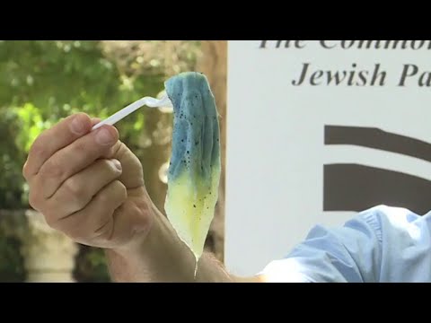 Ancient Color Blue in the Holy Land