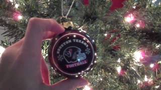 Our First Christmas ornament