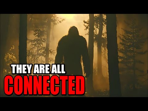 The Cryptid Pattern They Don’t Want You to See