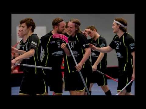 Borås IBF Säsongen 15/16