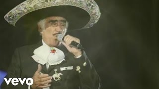Vicente Fernández - Que Te Vaya Bonito ((Cover Audio La Leyenda Viviente) (Video))