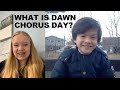 What is Dawn Chorus Day with Izzy
