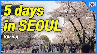 SEOUL 5 day itinerary in spring (Local Recommendation) | Korea Travel Tips