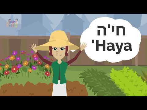 Mon Rabbi 184 - La vie et les odeurs | Si'ha