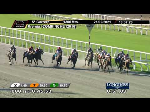 210221 c05 JOY GATEADA (ARG)