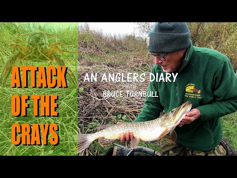 An Anglers Diary with A Moment in Time Channel - Chapter 150 - Pike Fishing