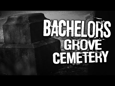 Haunted Bachelor's Grove Cemetery | Chicago's Most Infamous Graveyard