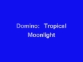 Domino - Tropical Moonlight.wmv 
