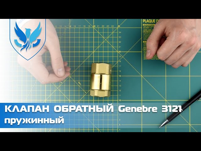 Клапан обратный муфтовый латунный пружинный Genebre 3121