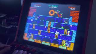 Donut Dodo saved my iiRcade