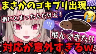 【GTA5 MADTOWN】まさかの最終日にゴキブリ襲来！？りりむの対応が意外すぎた...!【魔界ノりりむ/VanilLa/らっだぁ/nqrse/不破湊/一ノ瀬うるは/切り抜き】【にじさんじ】