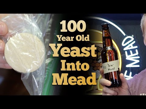 I Made Mead with 100 Year Old Yeast!