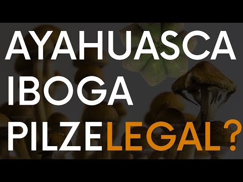 Entheogene entkriminalisiert?