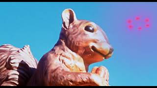 Psychic Temple — Doggie Paddlin&#39; Through the Cosmic Consciousness music video