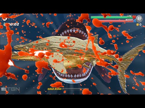 Hungry Shark Killer Whale Eats Golden Whale in Mega Gold Rush