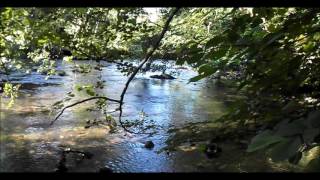 Relax 1 Hour of Natural Sound - Calm water's River -  Birds HD