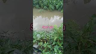 Download lagu mancing nila #mancing #sarangikannila #fishing #spotnilaliar mp3 Download lagu mancing nila #mancing #sarangikannila #fishing #spotnilaliar mp3