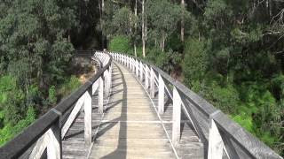 preview picture of video 'Noojee Trestle Bridge Visual Tour (Gippsland, Victoria, Australia)'