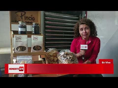 PINCIO FRUTA DESHIDRATADA