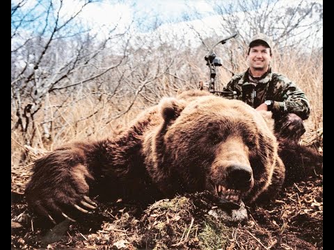 image-What is the largest Kodiak bear ever recorded?