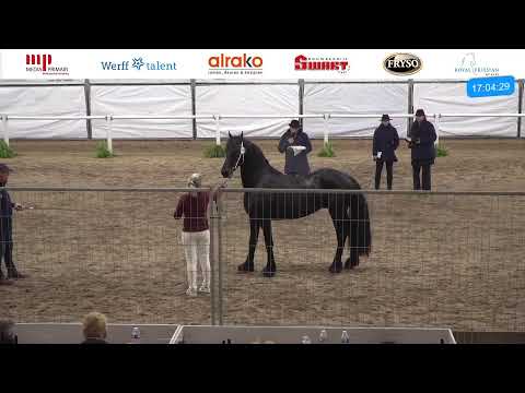 HK2025 |1e bezichtiging dag 1 | 2 december 2024