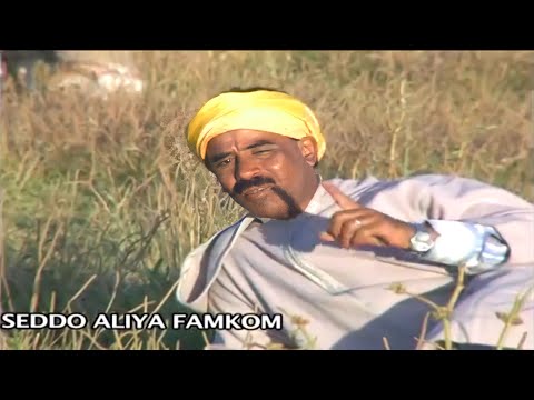 Al Alami - SEDDO ALIYA FAMKOM  | Music, Rai, chaabi,  3roubi - راي مغربي -  الشعبي