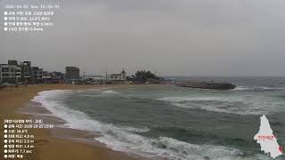[Live] 강원도 고성군 해변 🎧파도소리 live webcam